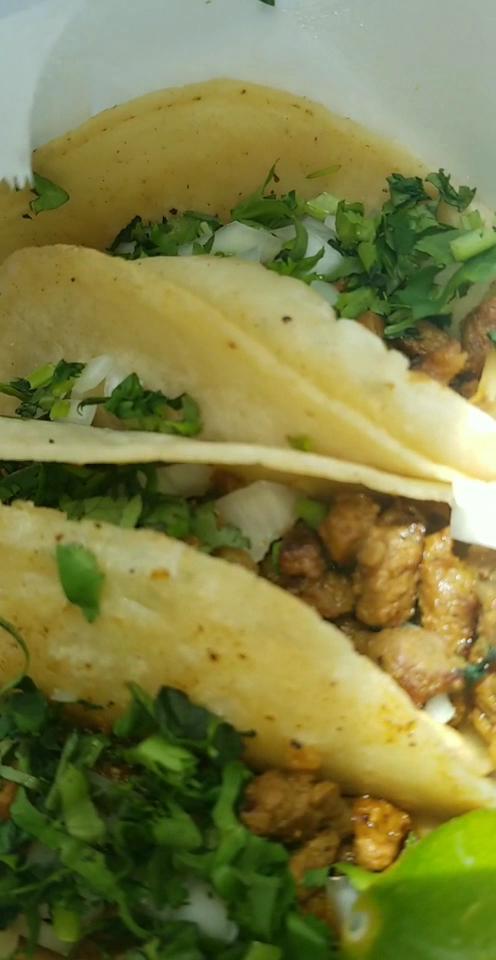 Taqueria Solavino Taco Truck